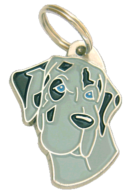 GREAT DANE BLUE MERLE - pet ID tag, dog ID tags, pet tags, personalized pet tags MjavHov - engraved pet tags online